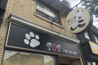 Toronto's first ever cat café opens today2