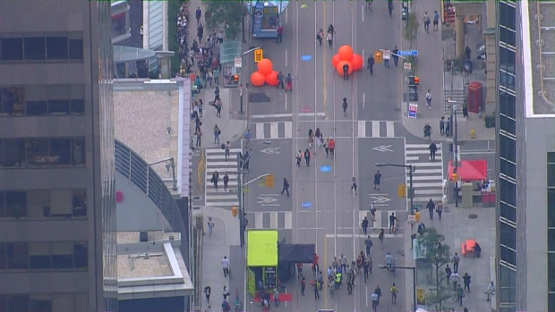 Festival TIFF Street View