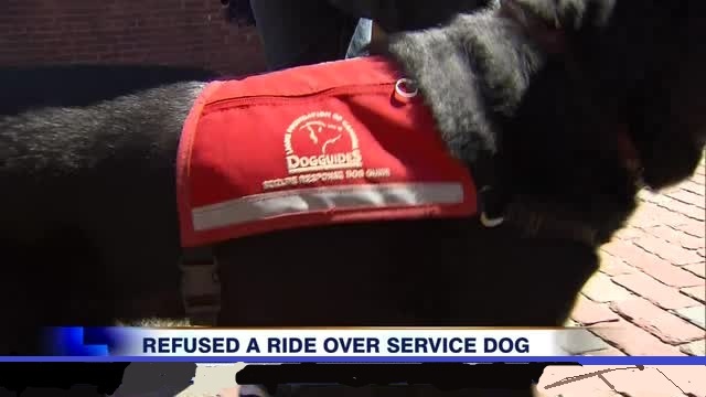 Service Dog Vest