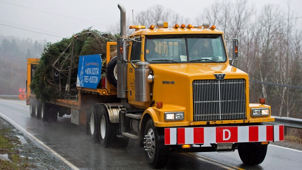 christmas-tree-to-boston