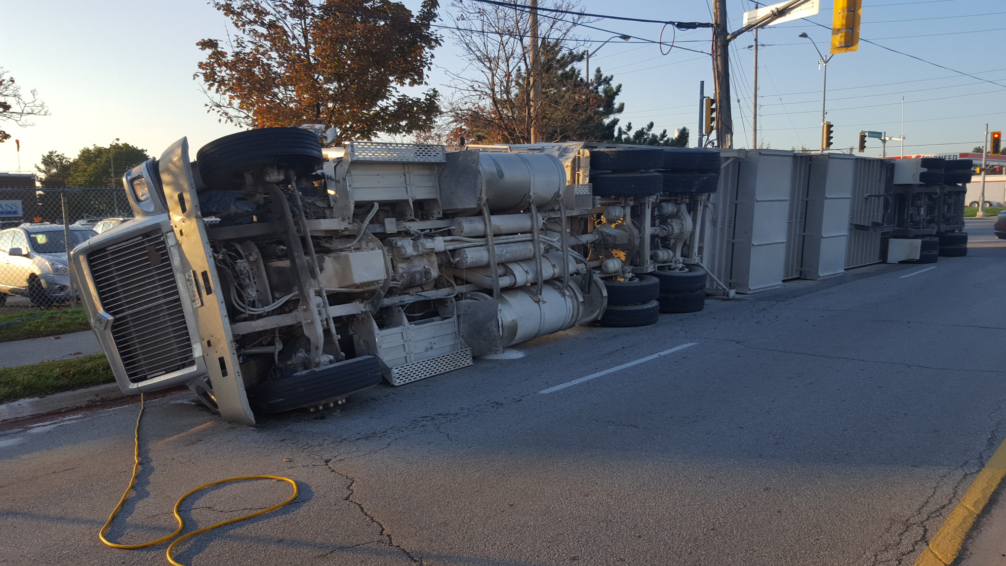 truck-full-of-pigs-flips-over