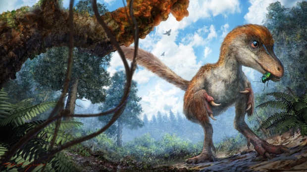 coelurosaur-feathered-dinosaur